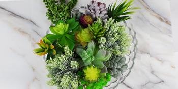 Assortment of 16 unpotted artificial succulent plants in a clear glass bowl on a marble background.