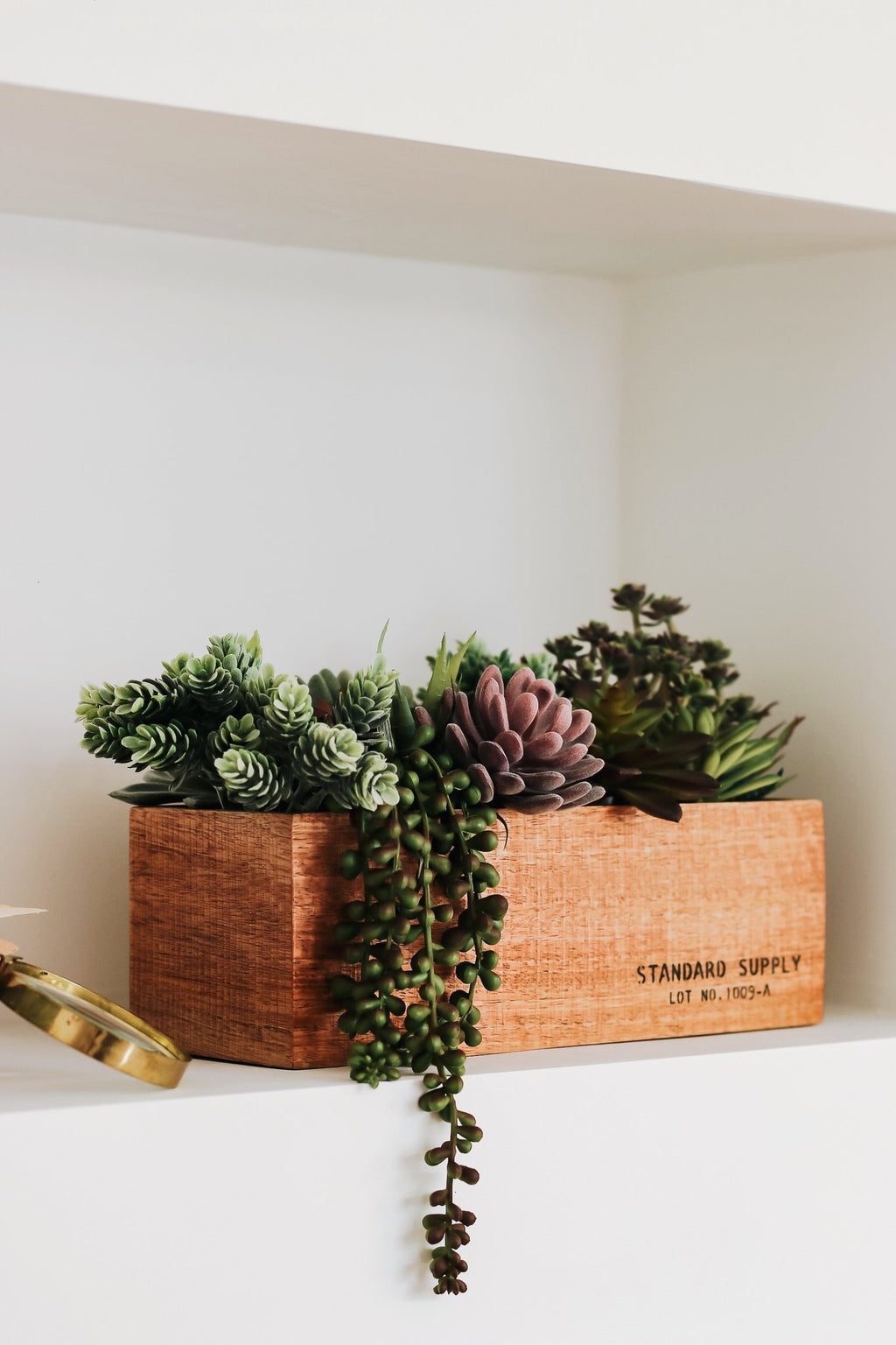 Assorted artificial succulents in a wooden planter box with 'STANDARD SUPPLY' text