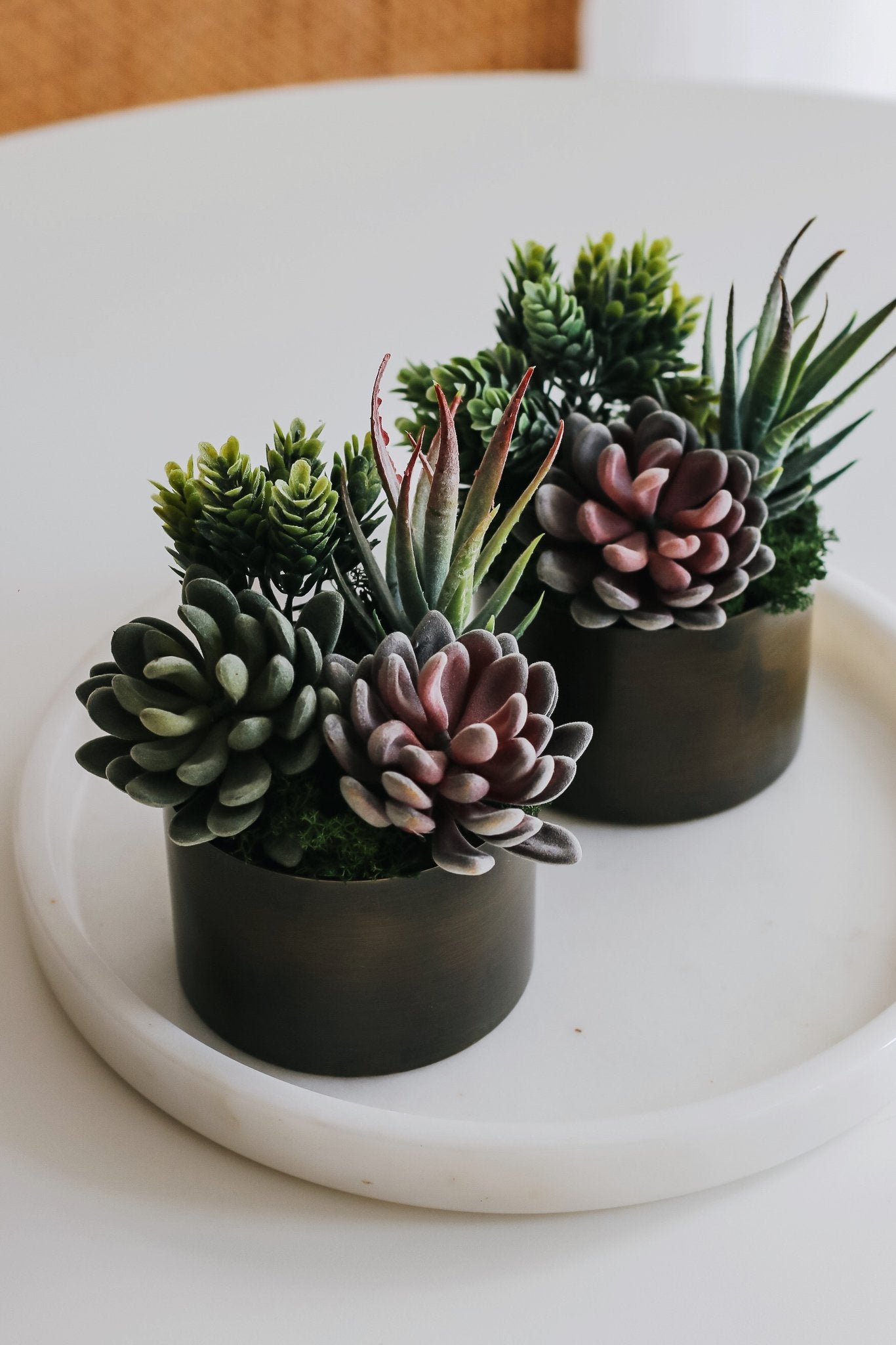 Two small potted artificial succulents with textured finish, one with green and pink rosettes, the other with green spikes, on a white tray.