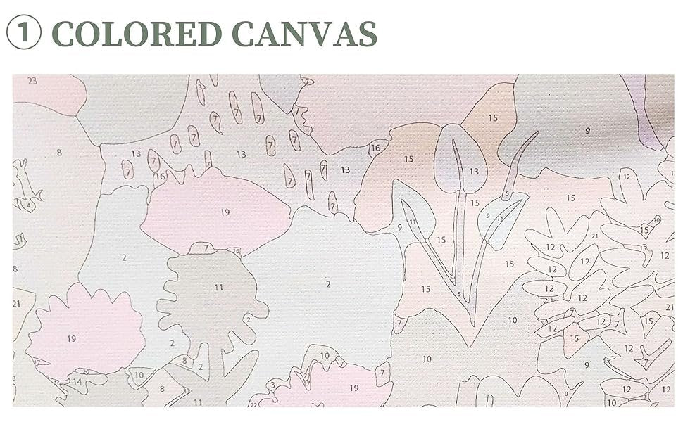 Close-up of a paint-by-numbers canvas showing numbered sections for coloring, with text 'COLORED CANVAS' at the top.