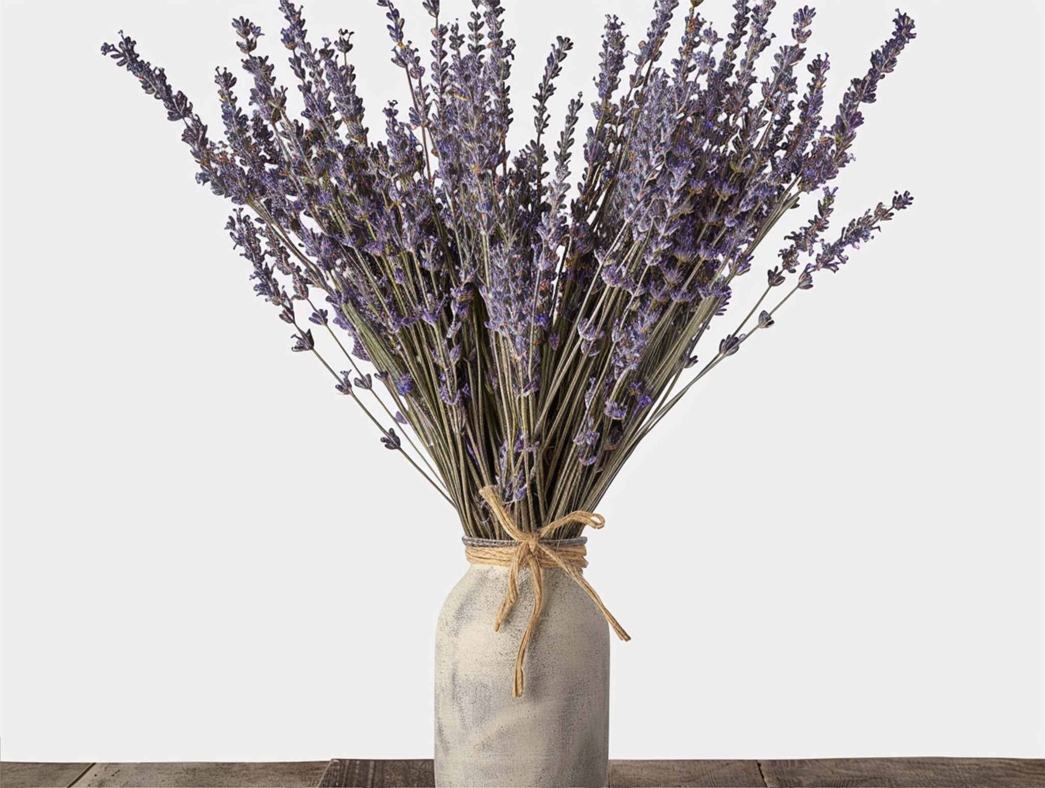 Bouquet of dried lavender stems tied with twine in a distressed vase, set against a white background.