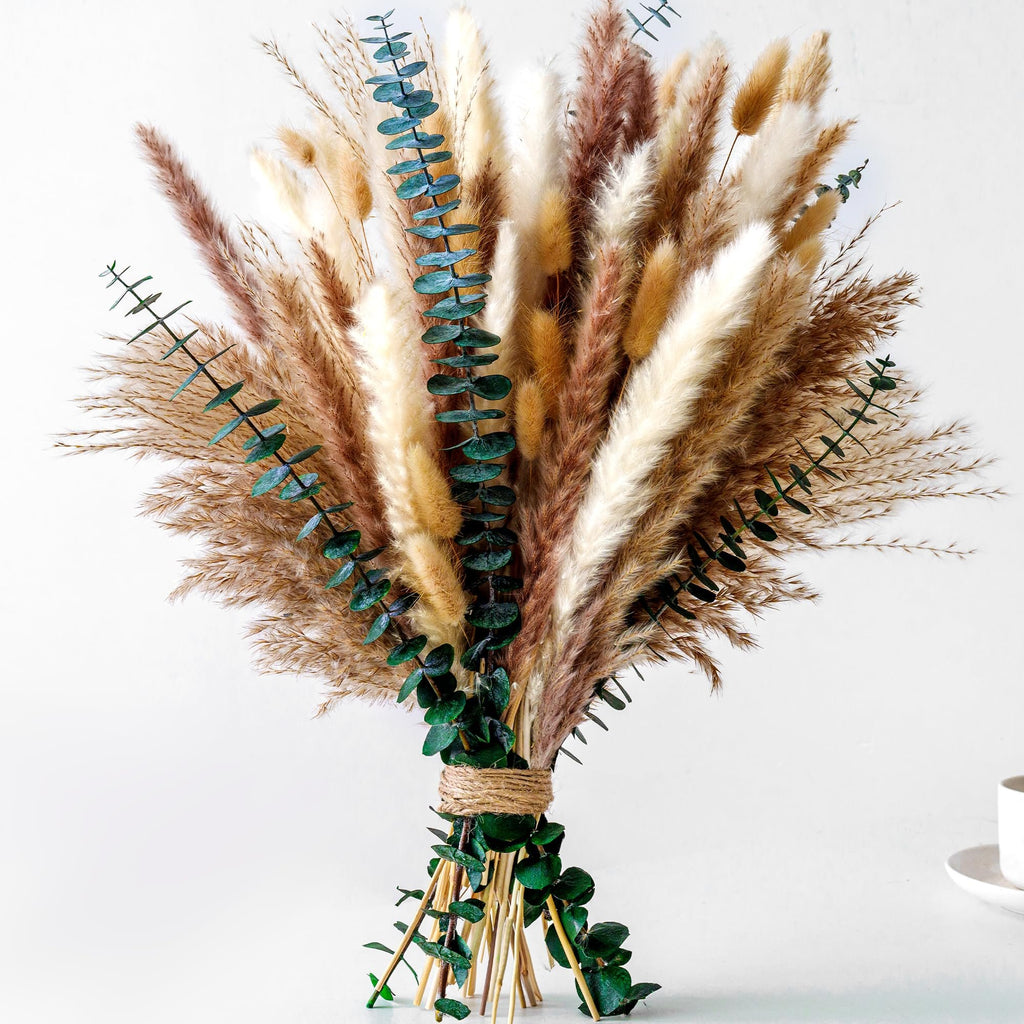 Dried pampas grass and bunny tail bouquet with eucalyptus, tied with twine, against a white background.