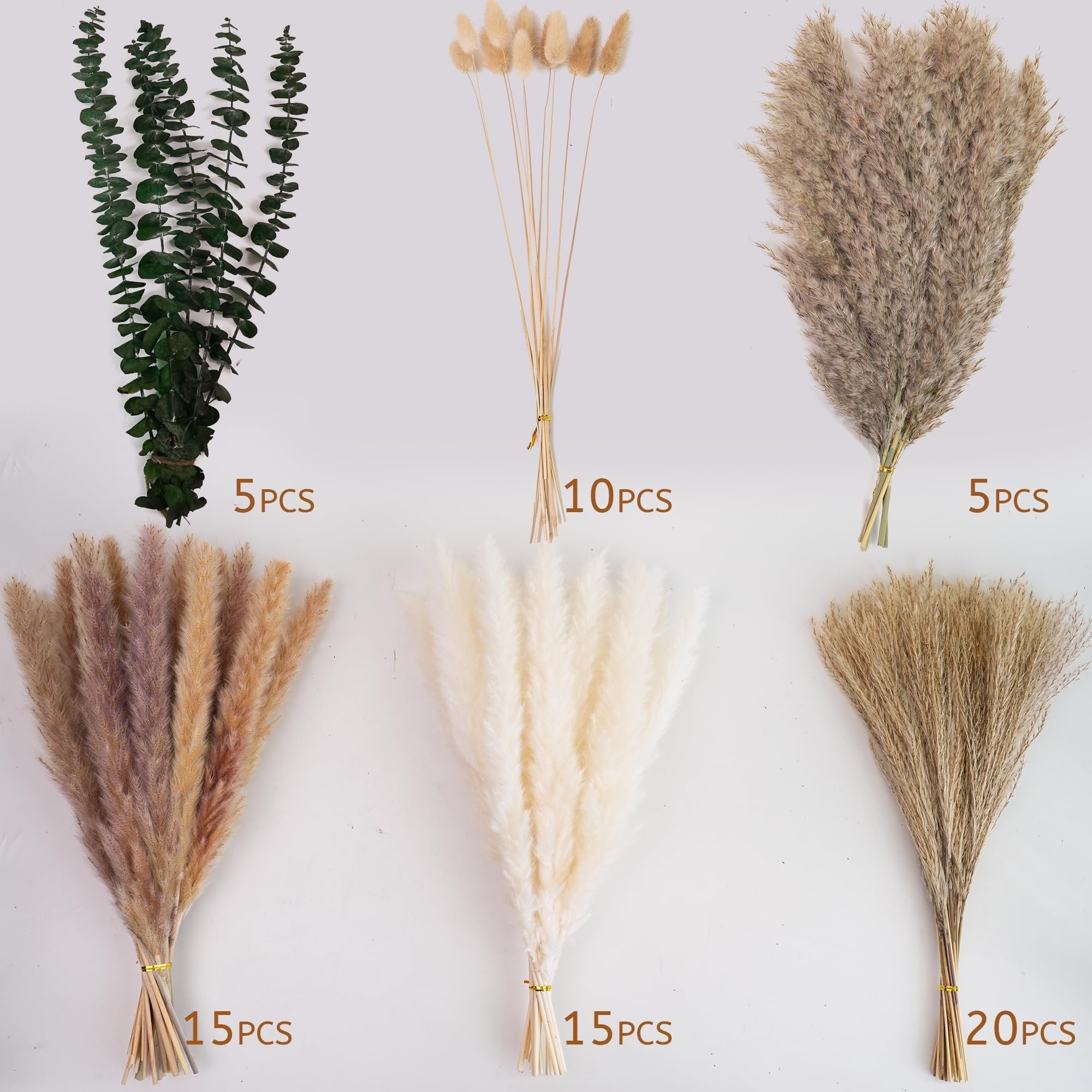 Assortment of dried pampas grass, bunny tail grass, and eucalyptus stems arranged in bouquets on a white background.