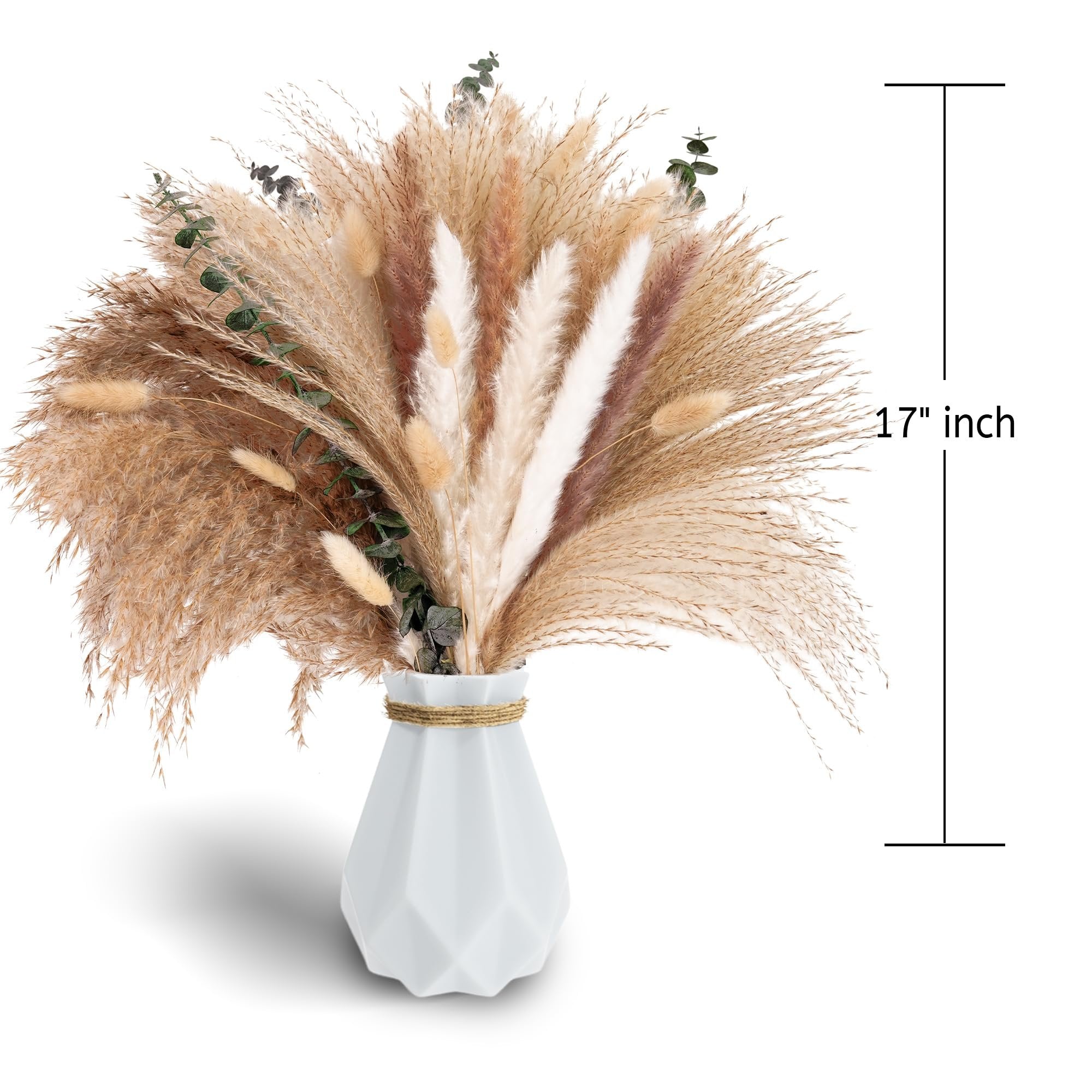 Dried pampas grass and bunny tail bouquet with eucalyptus in a white vase, shown with a height indicator.