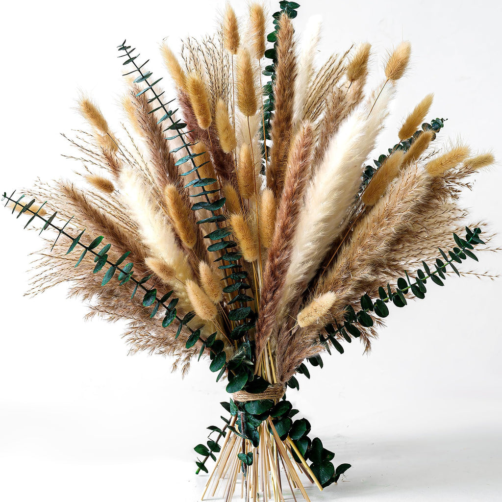 Dried pampas grass and bunny tail bouquet with eucalyptus, tied with twine, on a white background.