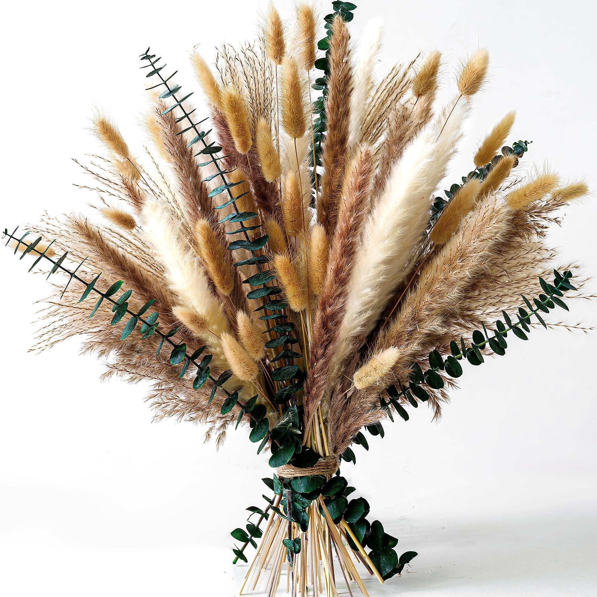 Dried pampas grass and bunny tail bouquet with eucalyptus, tied with twine, on a white background.