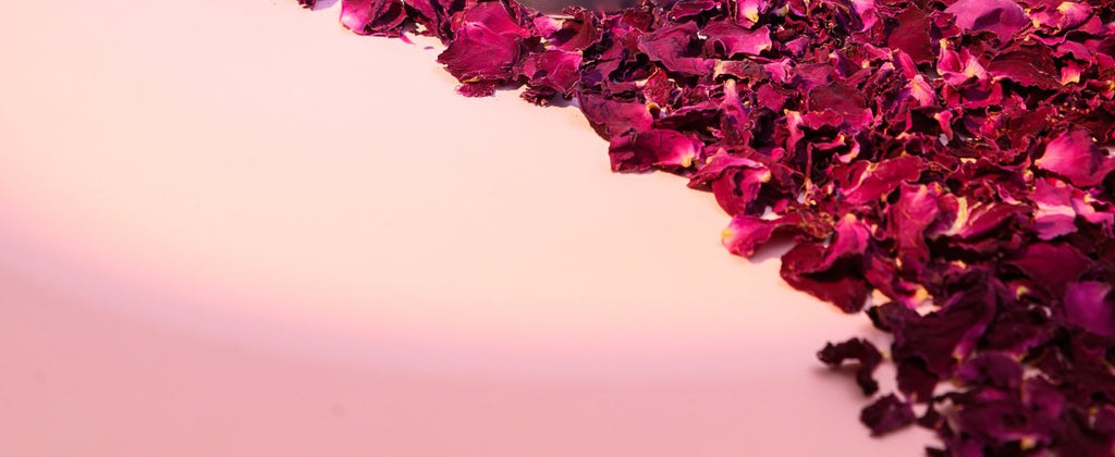 Dried purple rose petals scattered on a light pink surface, angled view