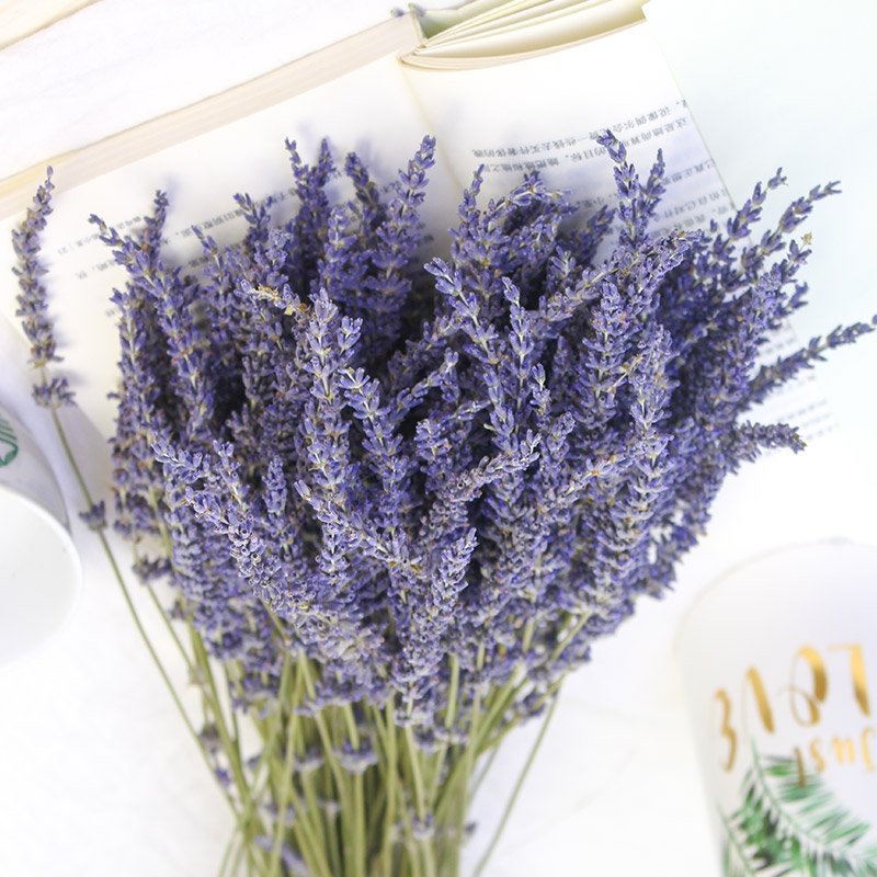 Dried ultra blue lavender bundles arranged on an open book, with a white mug and a decorative cup visible.