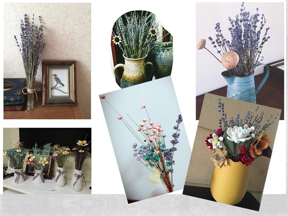 Collage of dried lavender bundles and other dried flowers in vases and arrangements.