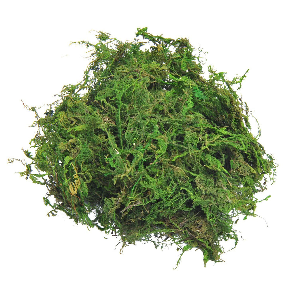 Pile of bright green decorative moss for crafts and centerpieces, isolated on white background.