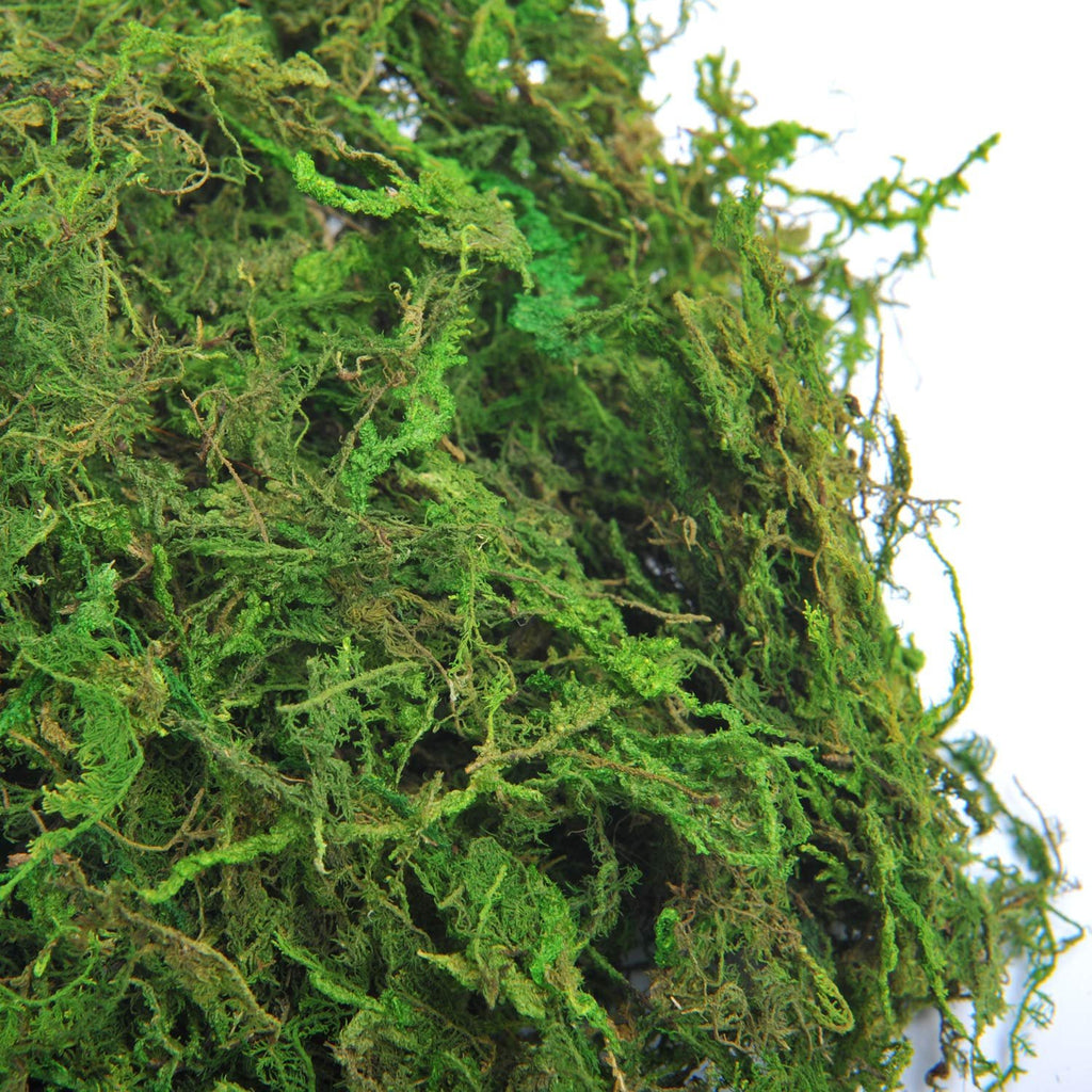 Pile of bright green decorative moss for crafts and centerpieces, close-up view