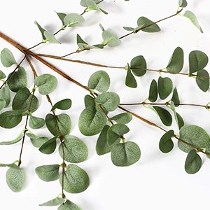 Close-up of faux eucalyptus stems with green leaves against a white background, showing stem details and leaf arrangement.