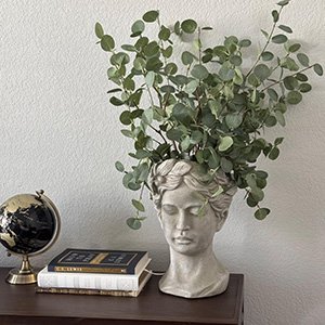 Faux eucalyptus stems arranged in a bust-shaped vase on a shelf with books and a globe.