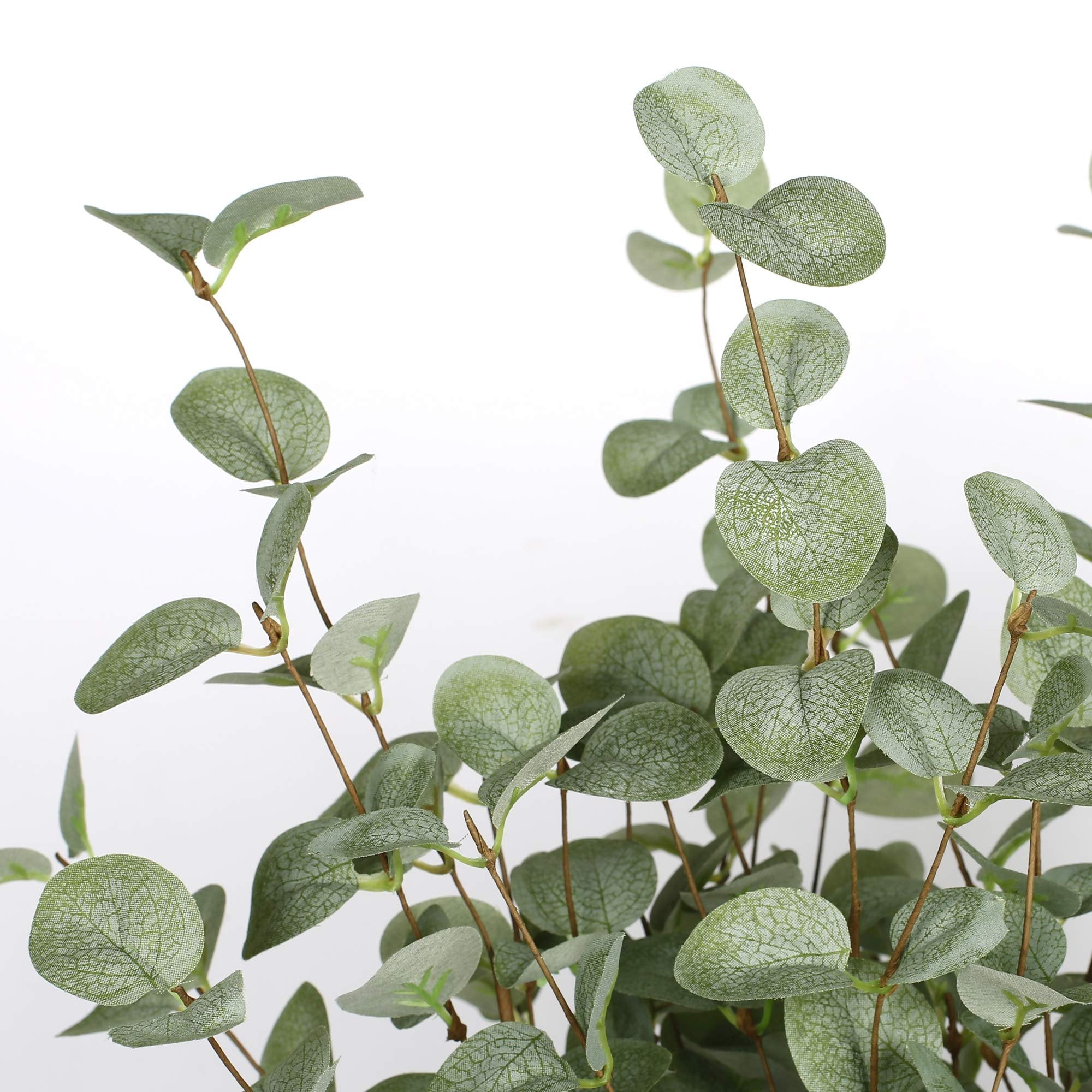 Close-up of faux eucalyptus stems with textured green leaves against a white background.