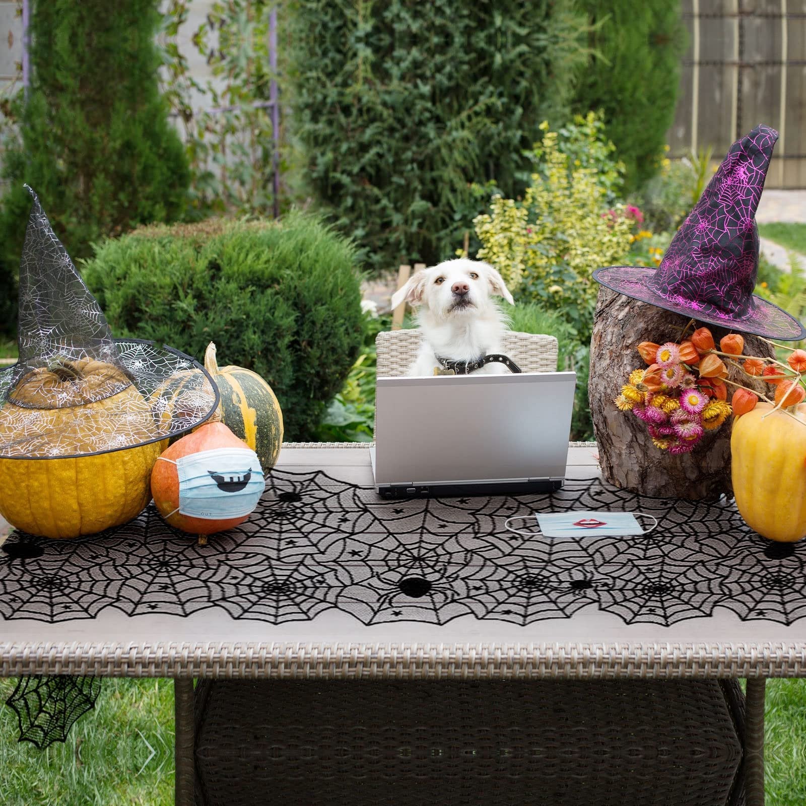 Halloween black lace spider web table runner on a table with pumpkins, witch hats, and a dog using a laptop.