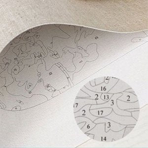 Close-up of paint by number canvas showing numbered sections and a magnified inset view of numbered paint areas.
