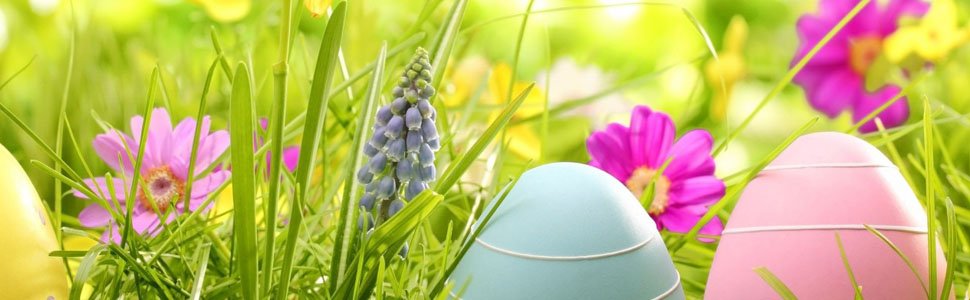 Easter eggs nestled in green grass with pink and purple flowers and a blue hyacinth
