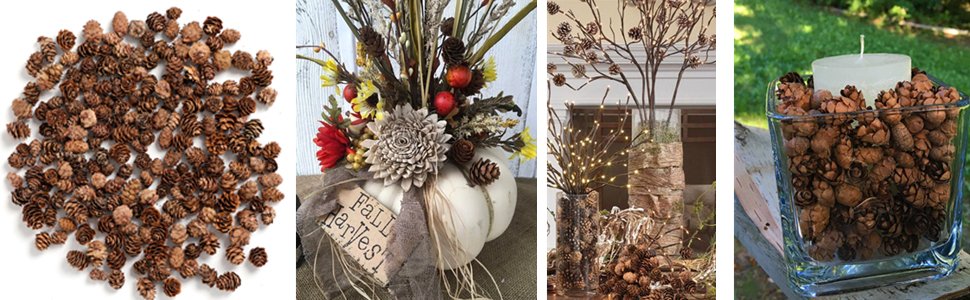 Collection of small natural pine cones scattered on a white background, with lifestyle images showing pine cones in arrangements and a candle holder.