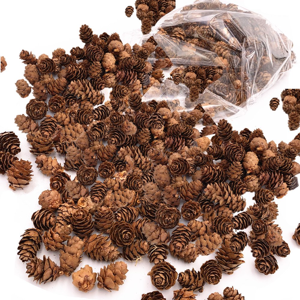 Small natural pine cones spilled from a clear plastic bag onto a white surface.