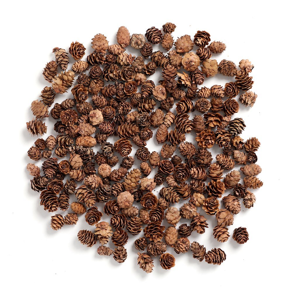Pile of small natural pine cones on a white background, top-down view.