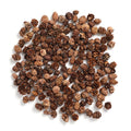 Pile of small natural pine cones on a white background, top-down view.