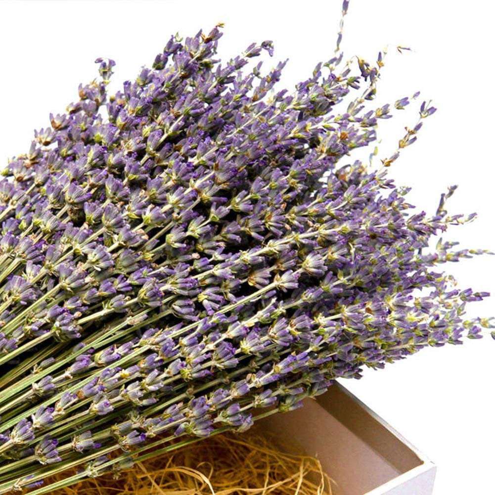Bouquet of dried lavender stems with purple flowers, partially in a white box with straw.