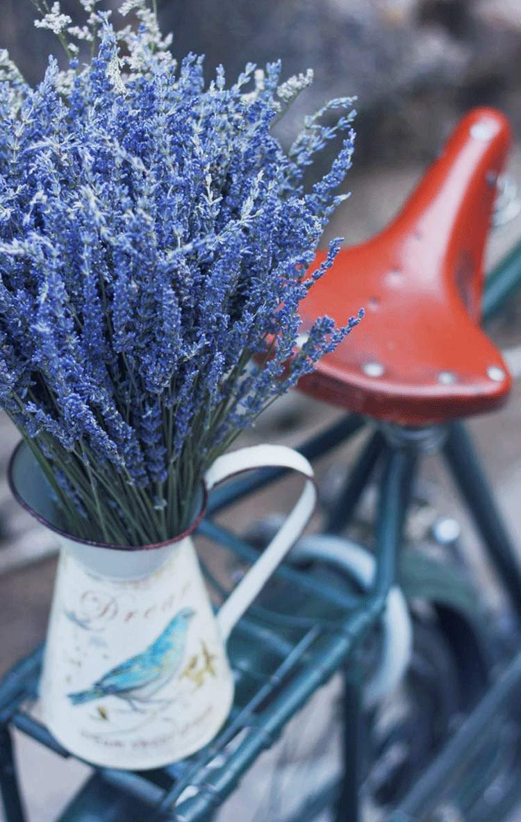 Bouquet of dried lavender in a decorative pitcher with a blue bird design, placed on a bicycle seat.