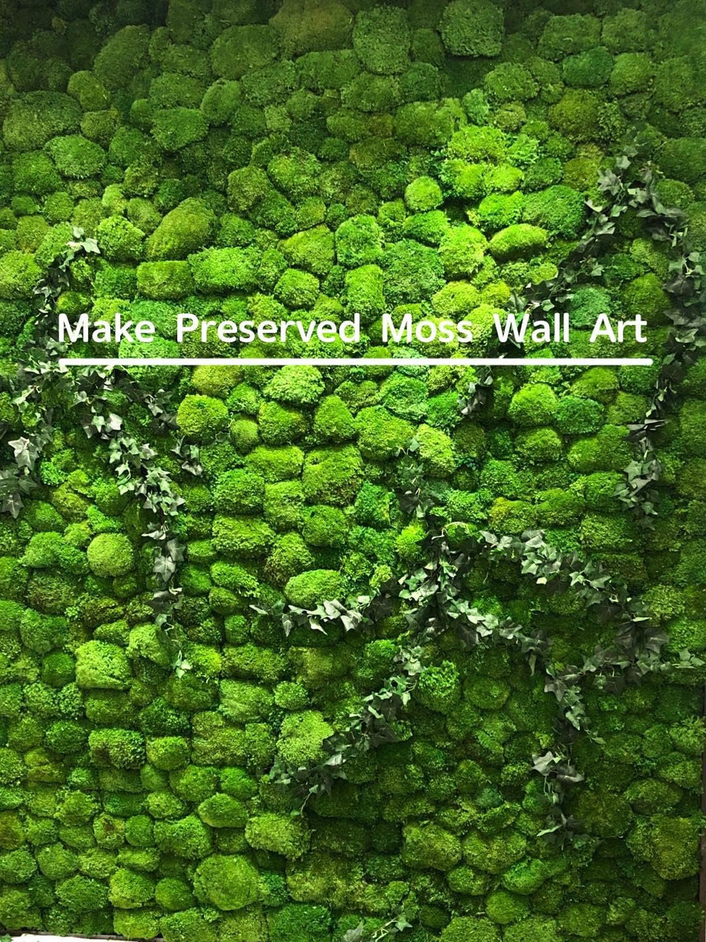 Wall of preserved green moss with ivy accents and a white horizontal line overlay.