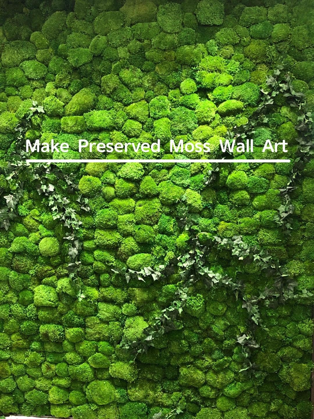 Wall of preserved green moss with ivy accents and a white horizontal line overlay.