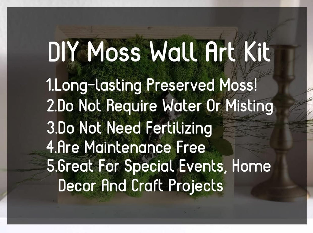 DIY preserved moss wall art kit in a wooden frame with informational text overlays.