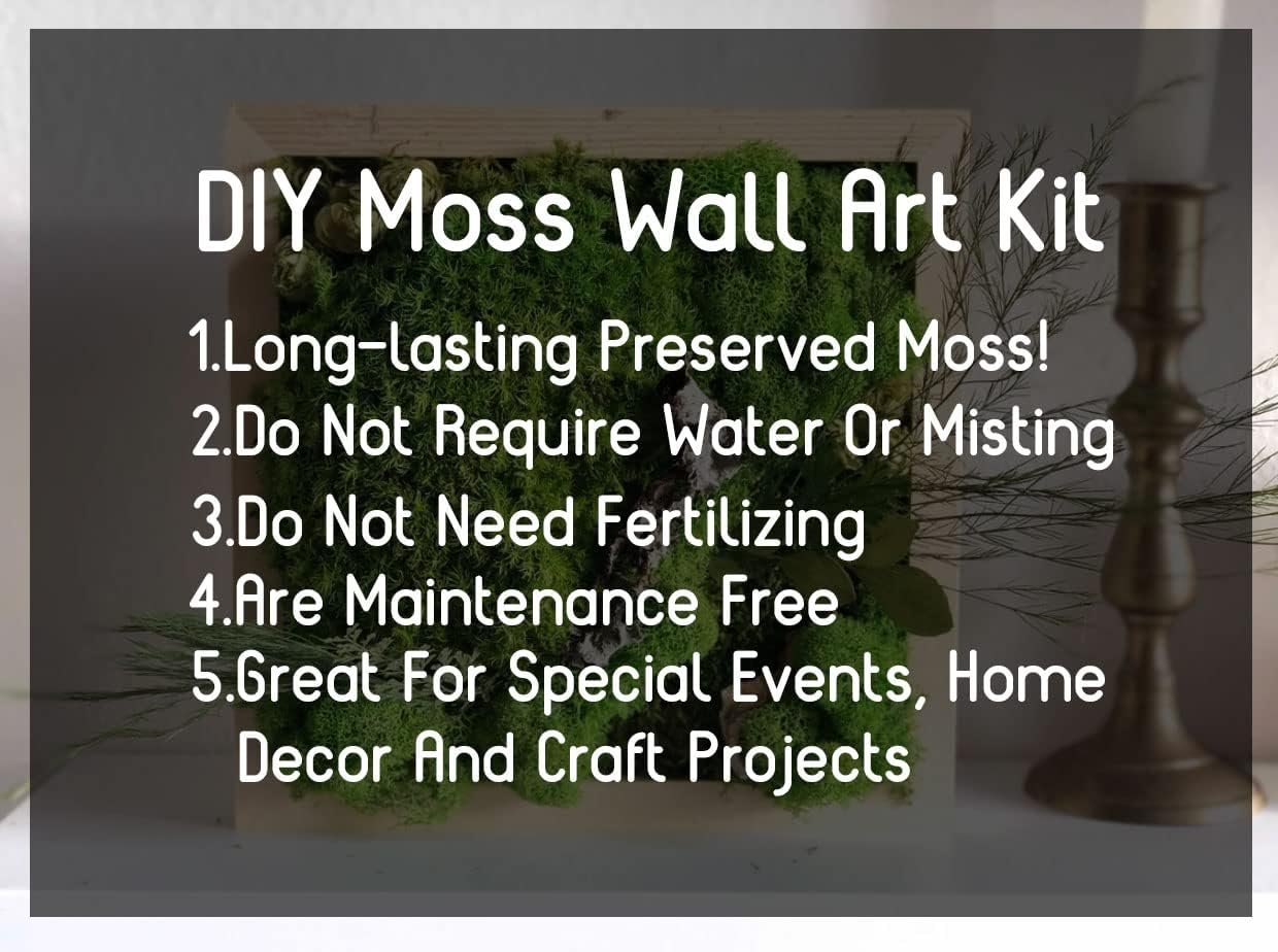 DIY preserved moss wall art kit in a wooden frame with informational text overlays.