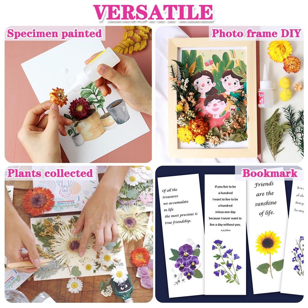 Collage showing four ways to use dried flowers: specimen painting, photo frame DIY, plant collection art, and bookmarks.