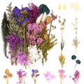 Assortment of dried pressed flowers and leaves in various colors including purple, pink, white, and yellow, arranged on a white background.