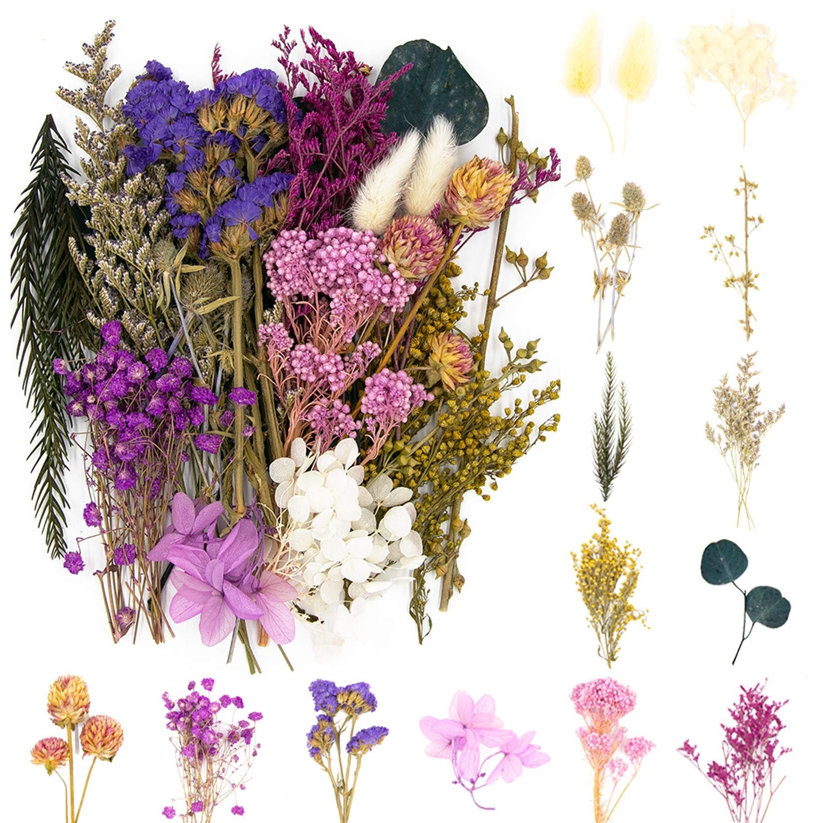 Assortment of dried pressed flowers and leaves in various colors including purple, pink, white, and yellow, arranged on a white background.