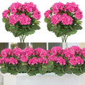 Two bundles of artificial rose red geranium silk flowers with green leaves, shown against a white background and then arranged in a window box.