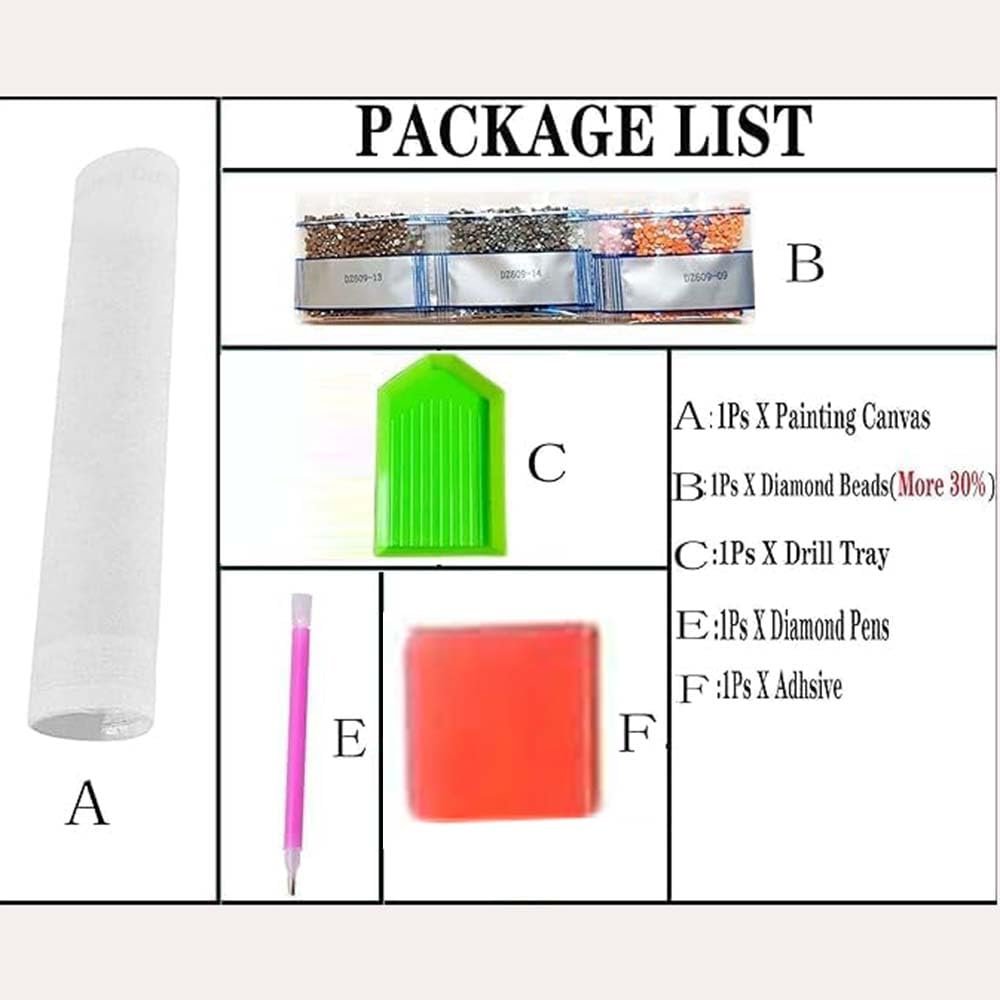 Diamond painting kit package contents list with labeled items: canvas, diamond beads, drill tray, diamond pens, and adhesive.