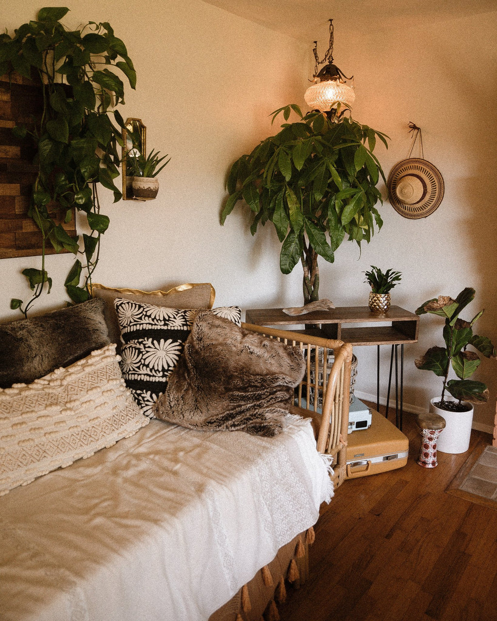 Bohemian-style living room with a daybed, plants, and decorative items.