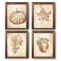 Set of 4 framed vintage fall wall art prints featuring a pumpkin, maple leaf, oak leaf, and acorn.