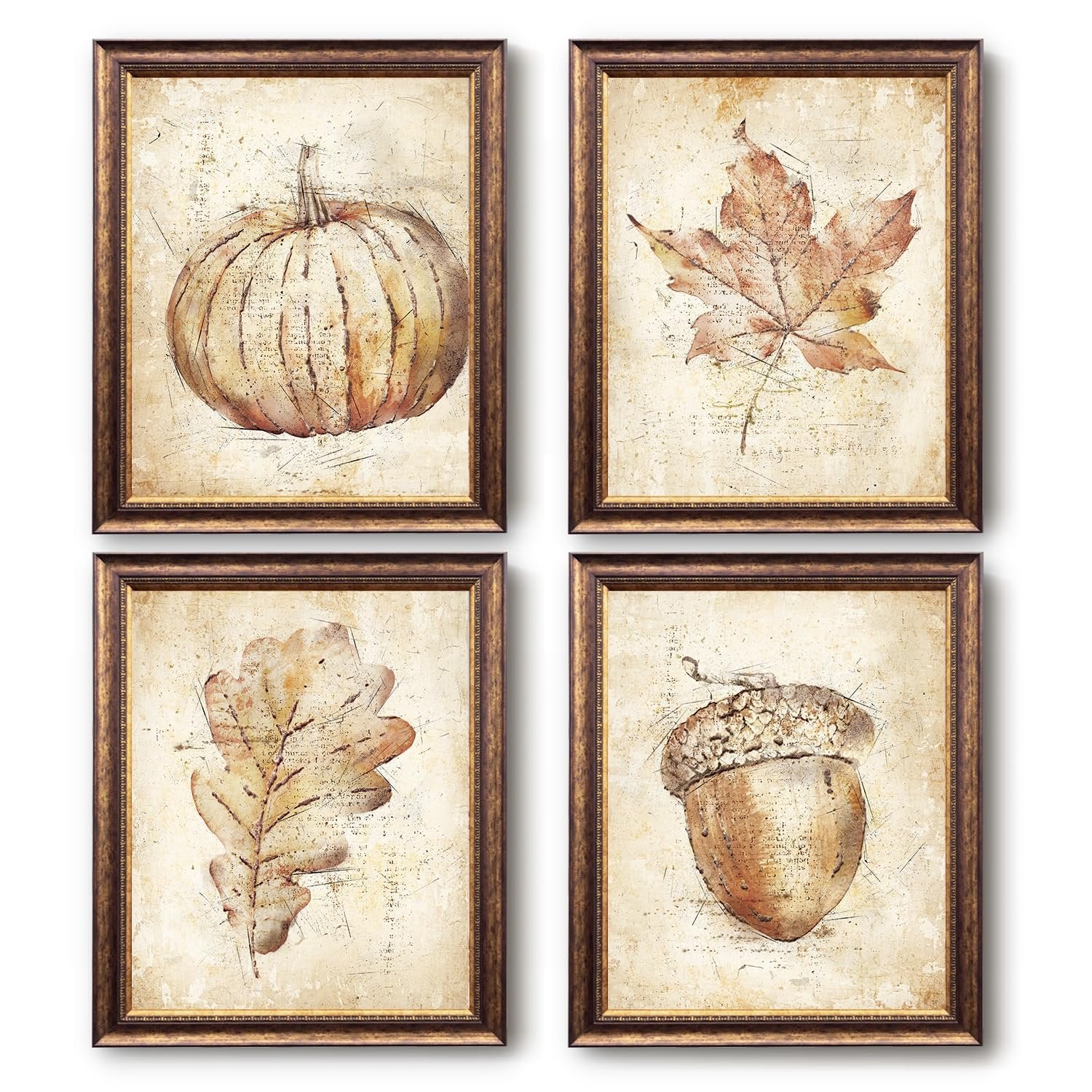 Set of 4 framed vintage fall wall art prints featuring a pumpkin, maple leaf, oak leaf, and acorn.