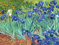 Van Gogh Irises painting with blue and white irises and yellow flowers in the background.