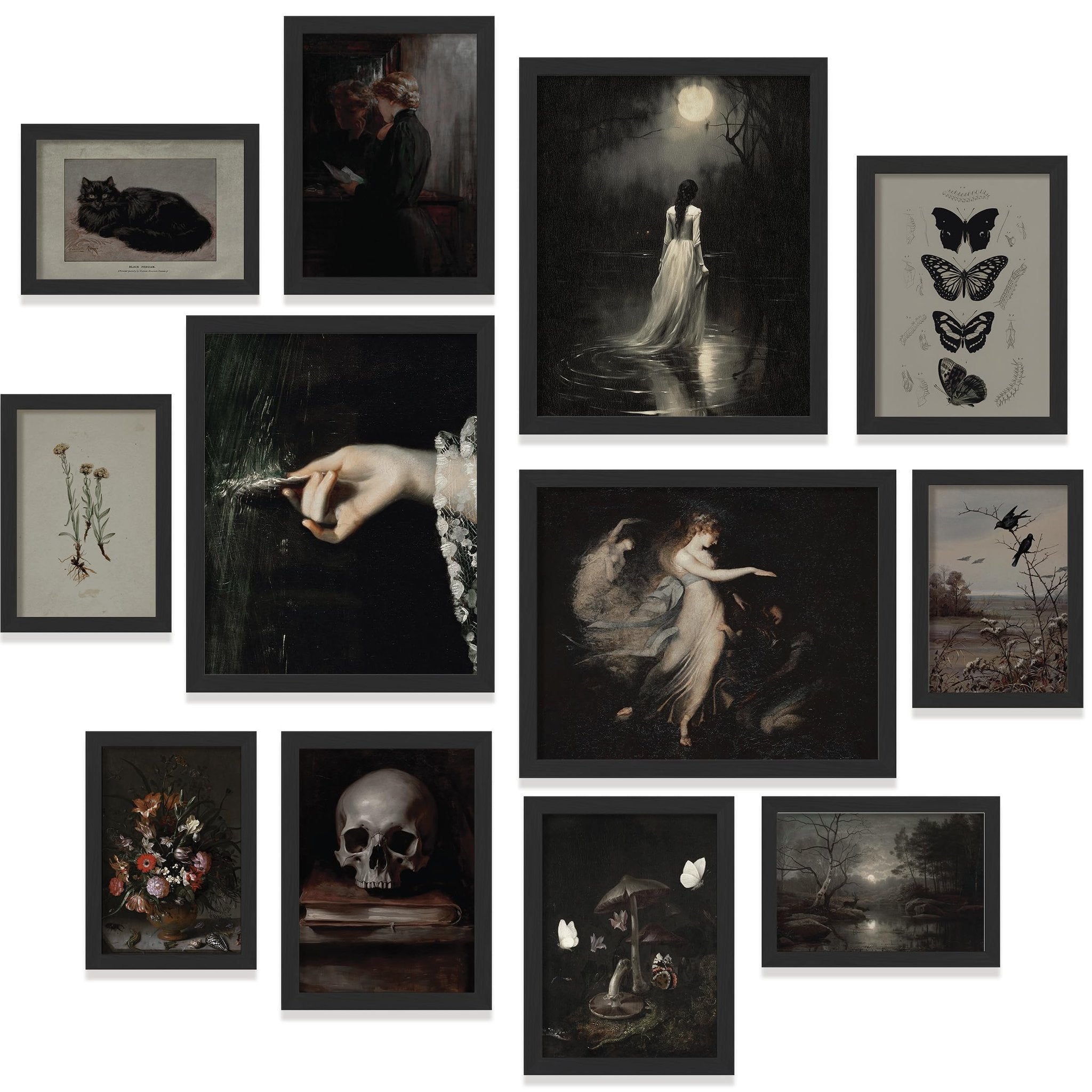 Collage of ten framed Victorian gothic art prints featuring a black cat, two women reading, a woman by a moonlit lake, butterflies, botanical illustration, a hand, a skull on books, a still life with flowers and insects, and a moonlit forest scene.