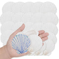 Hand holding white scallop shells, one with blue dot pattern, against a background of more shells.