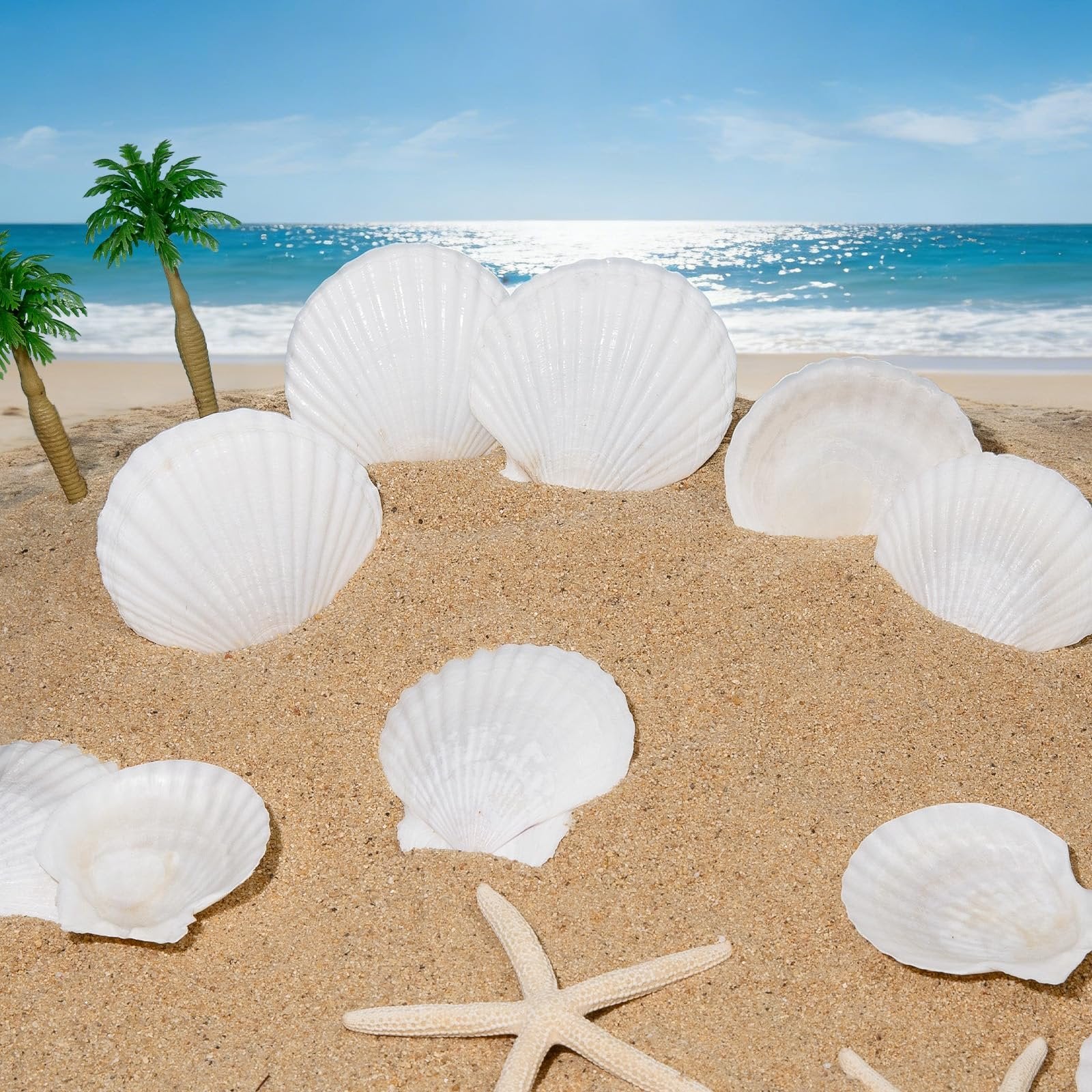 White scallop shells and starfish arranged on sand with a beach and ocean background